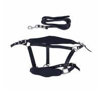 Halter Halter Set réglable Soft Reft Forming Confortable Ralier avec Laisse de 2m pour la Marche Quotidienne et l'entraînement à Cheval Alloy en Polyester (Bleu Marine)