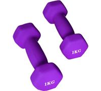 Haltère 1 kg X-sport violet 2 pcs.