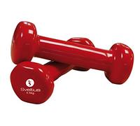 Haltère époxy 500 g x2