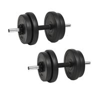 Haltère - vidaXL - 40 kg - Acier Chromé - Plaques en Béton - Serrure Étoile