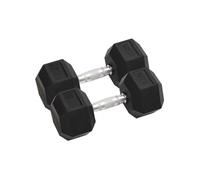 Haltères 2 pcs 25 kg Fonte