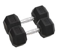 Haltères 2 pcs 30 kg Fonte