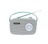 Halterrego Radio Style rétro AM/FM, BT V5.0, Lecteur USB et Carte Micro SD, 3w RMS, Aux in et Prise Casque. Adaptateur ou Port USB-C, Vert