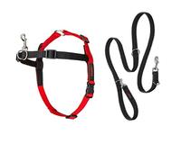 Halti 14326W Harnais de contrôle Avant et Laisse de Dressage pour empêcher Le Chien de Tirer en Promenade, Comprend Un Harnais de contrôle Avant Moyen et Une Laisse à Double extrémité, Noir