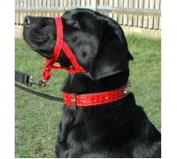 Halti Licol Educatif Anti-Traction Dressage Pour Chien Taille 1 Rouge