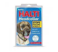 HALTI Licol éducatif anti-traction Taille 5 - Noir, rembourrage néoprène, facile à enfiler