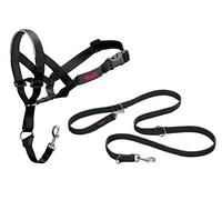 Halti Licol et Laisse de Dressage pour Empêcher Le Chien de Tirer Lors des Promenades, Comprend Un Collier Taille 3 et Une Laisse à Double Extrémité, Noir
