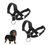 Halti Lot de 2 licol anti-traction pour chien en nylon réglable avec anneau torique d'attache pour laisse - Harnais muselière respirant anti-morsure pour petits chiens - Taille S (museau 8-20 cm, cou