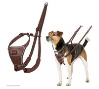 Halti No Pull Harnais D'éducation Pour Chiens Deep Walnut - Harnais Anti-Tirage