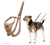 Halti No Pull Harnais Pour Chiens - Harnais D'Éducation Désert Sable