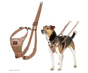 Halti No Pull Harnais Pour Chiens - Harnais D'Éducation Désert Sable