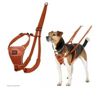 Halti No Pull Harnais Pour Chiens Orange Brûlée Anti-Tir Harnais D'Éducation