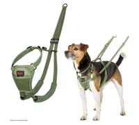 Harnais Anti-Traction HALTI - pour Que Votre Chien arrête de Tirer sur sa Laisse, Sangle de poitrail et des Pattes Avant rembourrée, Harnais pour Chiens de Taille Moyenne (Taille M, Vert Forêt)