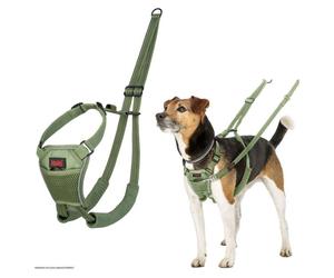 Halti No Pull Harnais Pour Chiens Vert Forêt Anti-Tir Harnachement