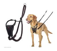 Halti Non Pull Anti-zug Vaisselle Noir pour Chiens - Efficace Entraînement de