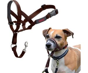 Halti Optifit Harnais Pour Chiens En Noyer Réglable Avec Sécurité