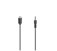 Hama 00200729 câble audio 0,75 m 3,5mm USB Type-C Noir