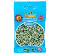 Hama Mini sachet 501-101 — 2000 perles Eucalyptus