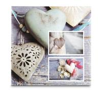 Hama Album photo pour photos (10 x 15 cm, 100 pages, 22,5 x 22 cm) en couleur