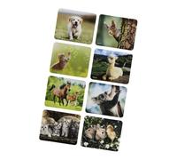 Hama Animal Multicolore