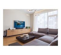 HAMA Antenne d'intérieur "Basic" pour DAB+, DAB, DVB-T2, FM, passive, tige (00221081)
