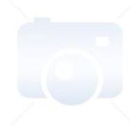 hama boîte de perles moyennes 'small world animaux' G