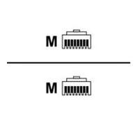 - Câble réseau - RJ-45 (M) pour RJ-11 (M) - 3 m - noir