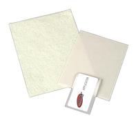 Hama Displex Protector, Film Protecteur d'écran de 6,3 cm