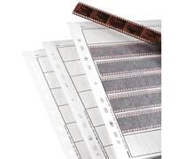 Hama Étuis à négatifs Papier Cristal 7 bandes de 6 Vues, 24x36cm, 25 pièces | Pack de 25 Feuillets de Rangement de Film Photo 35mm, Pochette Perforée pour Classeur Archivage, 7 bandes x 6 Négatifs, Blanc