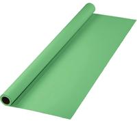 Hama Fond 2,75x11m vert menthe (adapté au greenscreen)