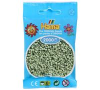 Hama Mini sachet 501-101 — 2000 perles Eucalyptus