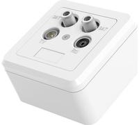 Hama Prise d'antenne/SAT/BK, prise terminale Twin, blanc pur (00205354)