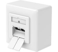 Hama Prise réseau, CAT-6a, 10 Gbit/s, blindée, 2 ports, montage en saillie/encastré (00200774)