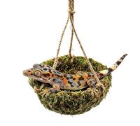 Hamac à dragon barbu | Jouet D'Enrichissement À Rétention D'Humidité,Hamac Reptile À Montage Sur Terrarium - Pour Se Détendre Et S'amuser Caméléon Gecko-Léopard Et Lézard Animaux Des Races De Taille M