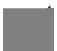 Hamac De Camping - ARMOK CAMPING DE VOYAGE | Swing Arbre De Réseaux Avec Capacité De Charge Maximum De 200 Kg | Meubles D'extérieur Et Swing D'arbres Pour Plage, Camping, Méditation, Viag