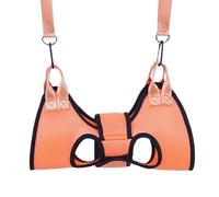 Hamac de toilettage pour chat - 55 x 42,5 x 1 cm - Harnais de toilettage professionnel pour chat, dispositif de retenue de prévention des rayures, support spa, accessoire sécurisé pour étouffement