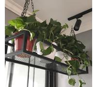 Hamankim Étagère Suspendue Flottante Support à Fleurs de Plafond étagère de Rangement Cuisine avec chaîne et Grille inférieure étagère décorative en métal Fer Porte-Bouteilles de vin(140x25x15cm)