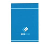 Conquerant Bloc-Notes A5 Petits Carreaux 5mm 200 Pages Agrafées Tête Couverture Carte Bleue