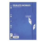 Hamelin Feuillets Mobiles 21x29,7 cm 100 Pages Grands Carreaux Blancs 70G - Sous Étuis Conquerant Sept