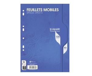 Hamelin Feuillets Mobiles 21x29,7 cm 100 Pages Grands Carreaux Blancs 70G - Sous Étuis Conquerant Sept