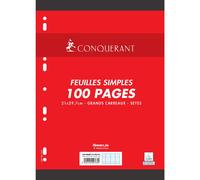 Hamelin Feuillets Mobiles 21x29,7 Cm 100 Pages Grands Carreaux Blancs 80g - Sous Étuis