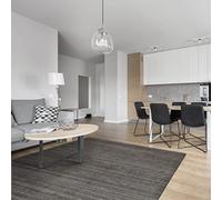 HAMID - Tapis Kavir en Laine Unie - Tapis en Laine Douce - Tissé à la Main - Laine Douce de Différentes Couleurs - Tapis de Salon, Chambre à Coucher, Salon - Noir (250x300cm)