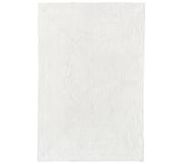 HAMID Tapis Nansa Intérieur/Extérieur en Pet Recyclé - Lavable et Imperméable - Écologique & Durable - Idéal pour Terrasse, Jardin ou Salon (300x200cm, Ivoire)