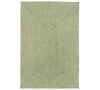 HAMID Tapis Nansa Intérieur/Extérieur en Pet Recyclé - Lavable et Imperméable - Écologique & Durable - Idéal pour Terrasse, Jardin ou Salon(250x200cm, Vert)