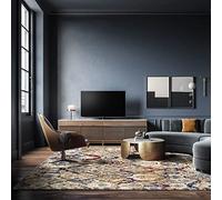 HAMID - Tapis rectangulaire Moderne et Doux en Laine des Alpes pour Salon, Chambre, Salon (Multicolore, 300 x 250 cm)