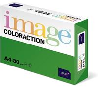 Hamiltion-Antalis Coloraction Ramette 500 Feuilles Papier Couleur Pour Imprimante Jet D'Encre/Laser/Copieur 80G A4 Dublin/Vert Mousse