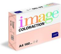 Hamiltion-Coloraction 838a 160s 11 Papier Couleur A4 160 G/M² Saumon/11 (Import Allemagne)