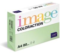 Hamiltion-Image Coloraction-Papier De Couleur Vert Forest 80 G/M² A4-Ramette De 500 Feuilles