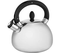 Hamilton Beach Bouilloire à thé, théière, chauffe-eau, pot 3 litres, argent