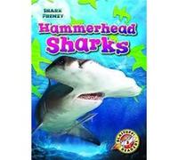 Hammerhead Sharks by Rebecca Pettiford Rebecca Pettiford (Auteur)